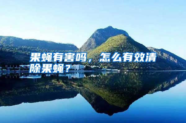 果蠅有害嗎,怎么有效清除果蠅?