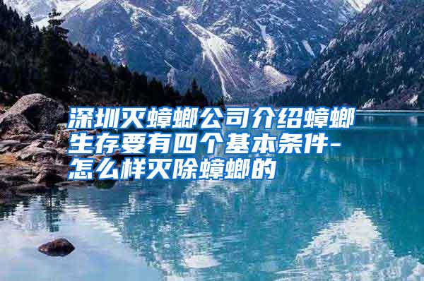 深圳滅蟑螂公司介紹蟑螂生存要有四個(gè)基本條件-怎么樣滅除蟑螂的