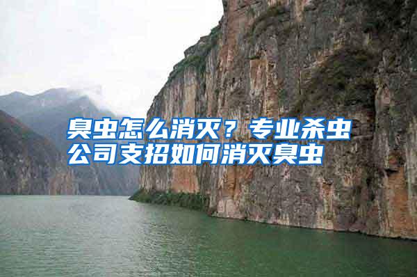 臭蟲怎么消滅?專業(yè)殺蟲公司支招如何消滅臭蟲