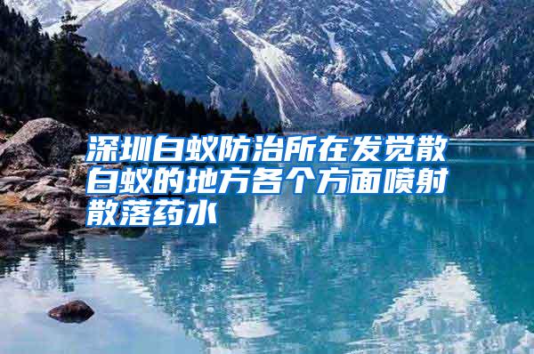 深圳白蟻防治所在發(fā)覺(jué)散白蟻的地方各個(gè)方面噴射散落藥水
