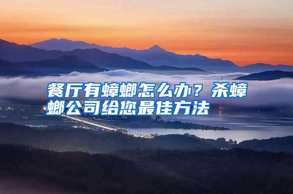 餐廳有蟑螂怎么辦?殺蟑螂公司給您最佳方法
