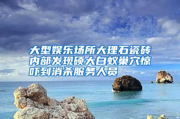 大型娛樂場(chǎng)所大理石瓷磚內(nèi)部發(fā)現(xiàn)碩大白蟻巢穴驚嚇到消殺服務(wù)人員