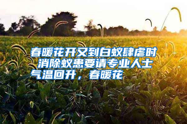 春暖花開(kāi)又到白蟻肆虐時(shí) 消除蟻患要請(qǐng)專業(yè)人士氣溫回升,春暖花