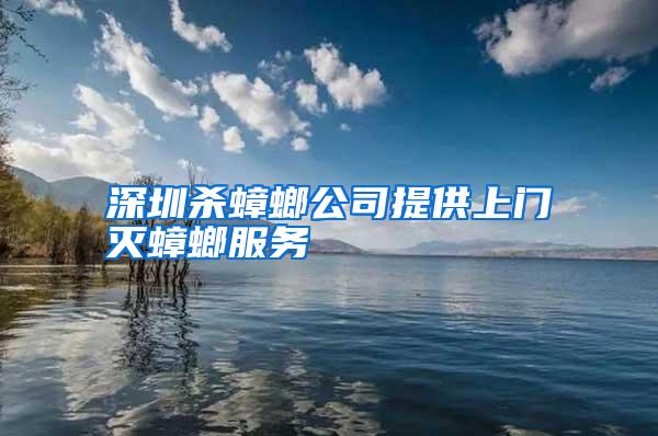 深圳殺蟑螂公司提供上門滅蟑螂服務