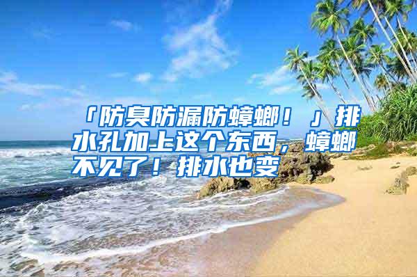 「防臭防漏防蟑螂!」排水孔加上這個東西,蟑螂不見了!排水也變
