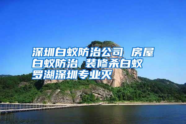 深圳白蟻防治公司 房屋白蟻防治 裝修殺白蟻 羅湖深圳專業(yè)滅