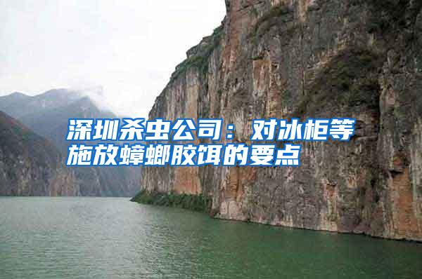 深圳殺蟲(chóng)公司:對(duì)冰柜等施放蟑螂膠餌的要點(diǎn)