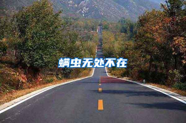 螨蟲無處不在