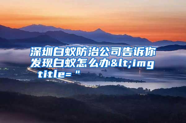 深圳白蟻防治公司告訴你發(fā)現(xiàn)白蟻怎么辦<img title="