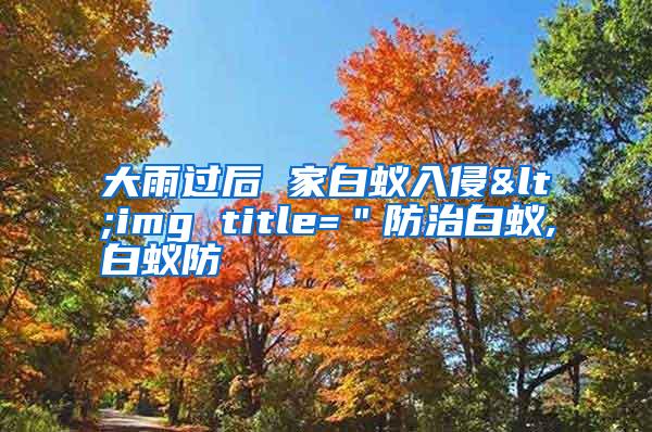 大雨過后 家白蟻入侵<img title="防治白蟻,白蟻防