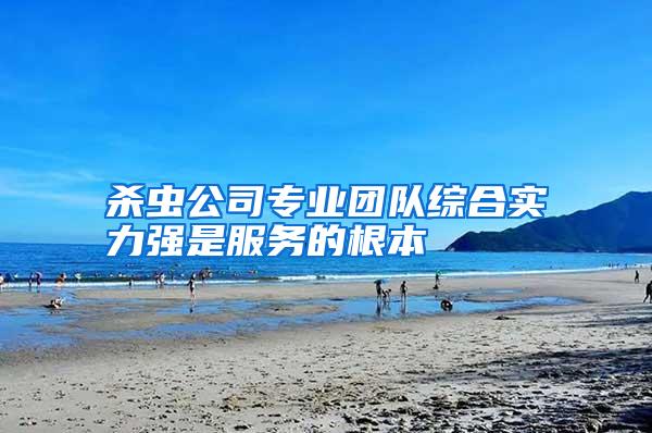 殺蟲(chóng)公司專(zhuān)業(yè)團(tuán)隊(duì)綜合實(shí)力強(qiáng)是服務(wù)的根本