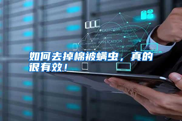 如何去掉棉被螨蟲,真的很有效!