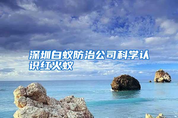 深圳白蟻防治公司科學認識紅火蟻