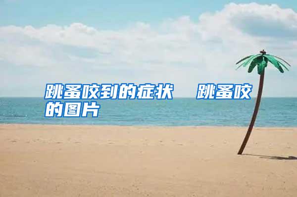 跳蚤咬到的癥狀 跳蚤咬的圖片