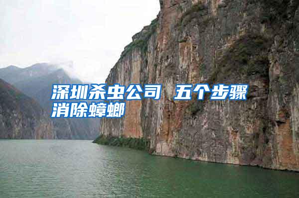 深圳殺蟲公司 五個步驟消除蟑螂