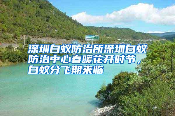 深圳白蟻防治所深圳白蟻防治中心春暖花開時節(jié),白蟻分飛期來臨