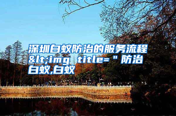 深圳白蟻防治的服務(wù)流程<img title="防治白蟻,白蟻