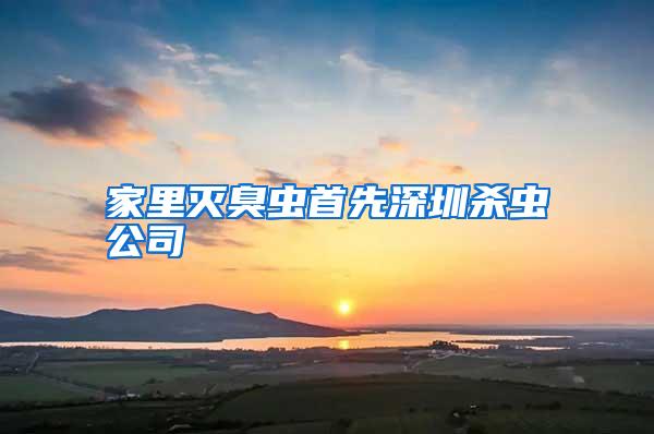 家里滅臭蟲首先深圳殺蟲公司