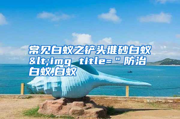 常見(jiàn)白蟻之鏟頭堆砂白蟻<img title="防治白蟻,白蟻