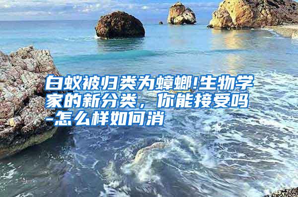 白蟻被歸類為蟑螂!生物學(xué)家的新分類,你能接受嗎-怎么樣如何消