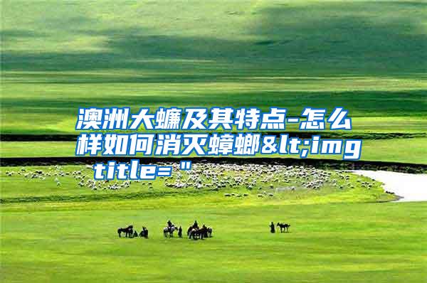 澳洲大蠊及其特點-怎么樣如何消滅蟑螂<img title="