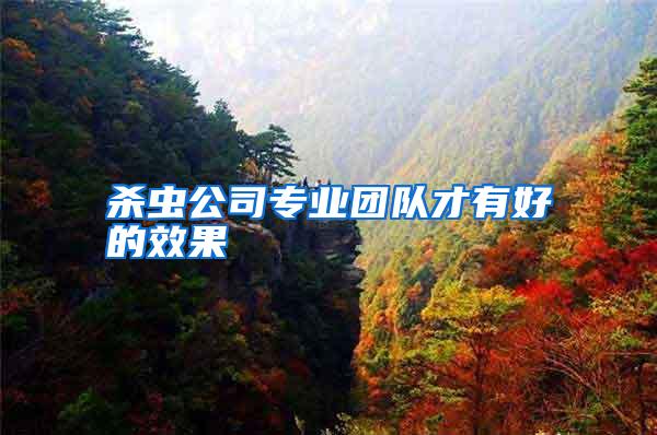 殺蟲公司專業(yè)團隊才有好的效果
