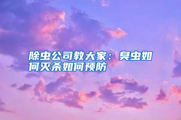 除蟲公司教大家:臭蟲如何滅殺如何預(yù)防