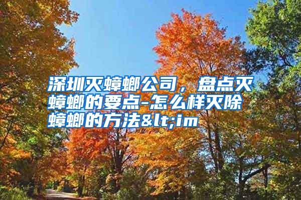 深圳滅蟑螂公司,盤點(diǎn)滅蟑螂的要點(diǎn)-怎么樣滅除蟑螂的方法<im