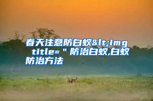 春天注意防白蟻<img title="防治白蟻,白蟻防治方法