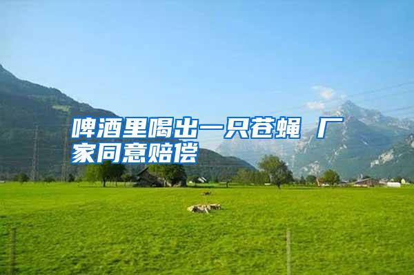 啤酒里喝出一只蒼蠅 廠家同意賠償