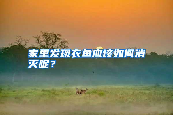 家里發(fā)現(xiàn)衣魚應(yīng)該如何消滅呢?