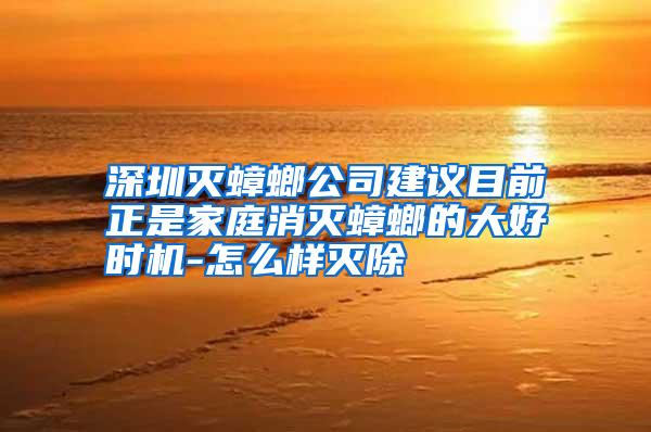 深圳滅蟑螂公司建議目前正是家庭消滅蟑螂的大好時(shí)機(jī)-怎么樣滅除