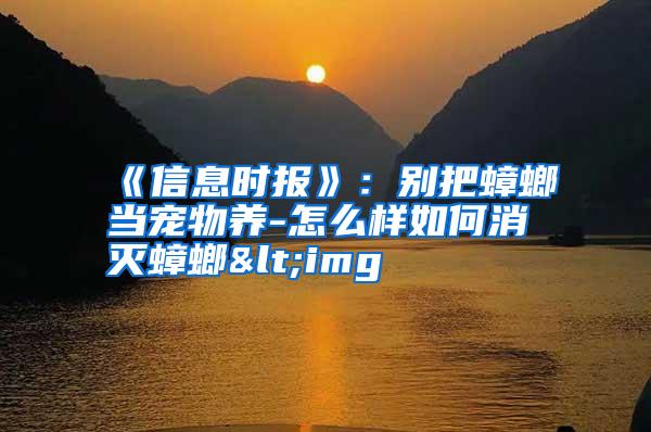 《信息時報(bào)》:別把蟑螂當(dāng)寵物養(yǎng)-怎么樣如何消滅蟑螂<img