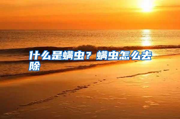 什么是螨蟲?螨蟲怎么去除
