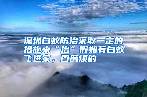 深圳白蟻防治采取一定的措施來“治”假如有白蟻飛進(jìn)家,圖麻煩的
