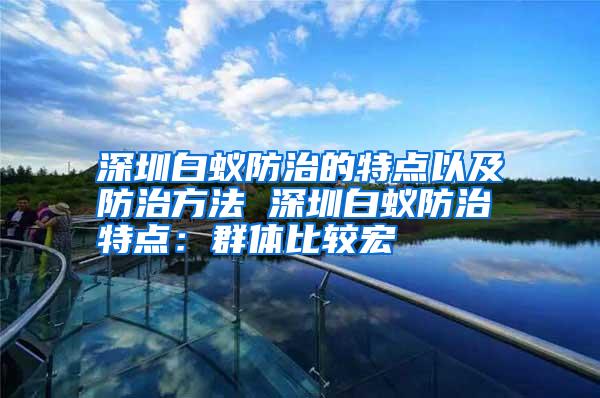 深圳白蟻防治的特點以及防治方法 深圳白蟻防治特點:群體比較宏