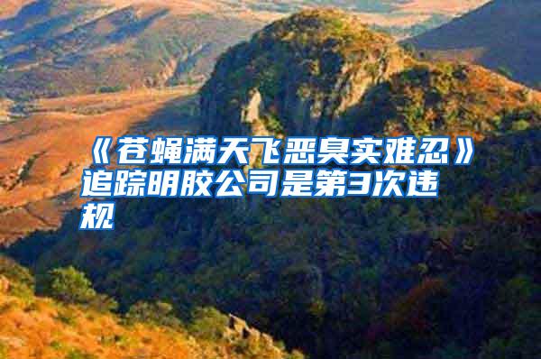 《蒼蠅滿天飛惡臭實(shí)難忍》追蹤明膠公司是第3次違規(guī)