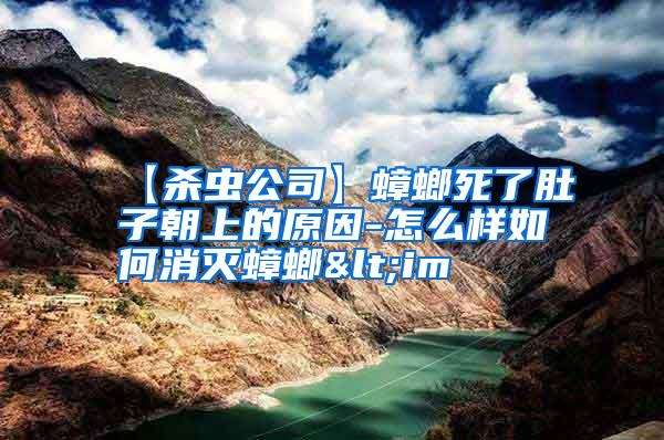 【殺蟲公司】蟑螂死了肚子朝上的原因-怎么樣如何消滅蟑螂<im