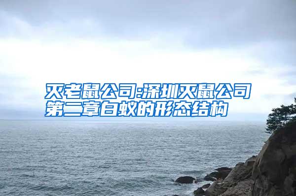 滅老鼠公司:深圳滅鼠公司第二章白蟻的形態(tài)結構