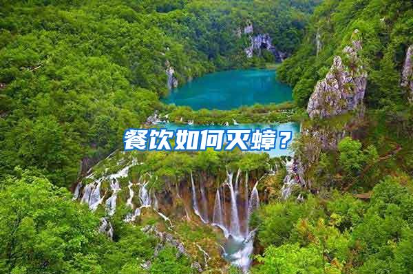 餐飲如何滅蟑?
