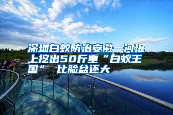 深圳白蟻防治安徽一河堤上挖出50斤重“白蟻王國” 比臉盆還大