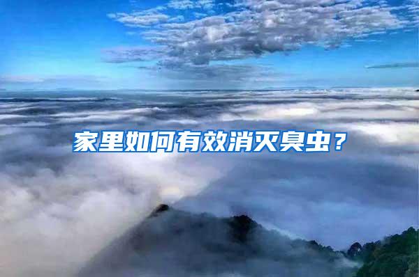 家里如何有效消滅臭蟲?