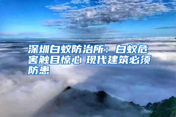 深圳白蟻防治所:白蟻危害觸目驚心 現(xiàn)代建筑必須防患