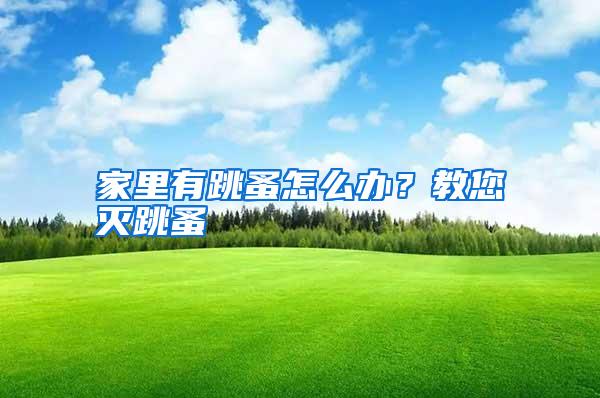 家里有跳蚤怎么辦?教您滅跳蚤
