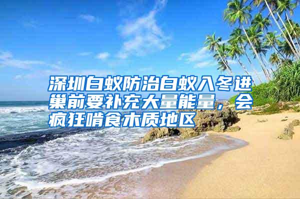 深圳白蟻防治白蟻入冬進(jìn)巢前要補(bǔ)充大量能量,會瘋狂啃食木質(zhì)地區(qū)
