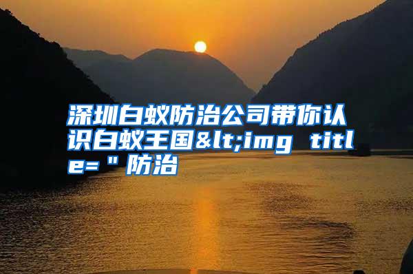 深圳白蟻防治公司帶你認(rèn)識(shí)白蟻王國(guó)<img title="防治