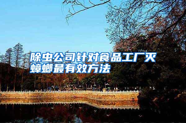 除蟲公司針對食品工廠滅蟑螂最有效方法