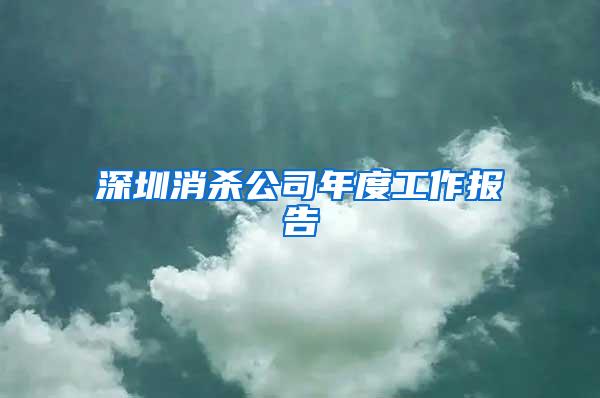 深圳消殺公司年度工作報(bào)告