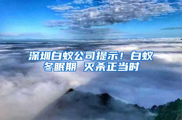 深圳白蟻公司提示！白蟻冬眠期 滅殺正當(dāng)時(shí)
