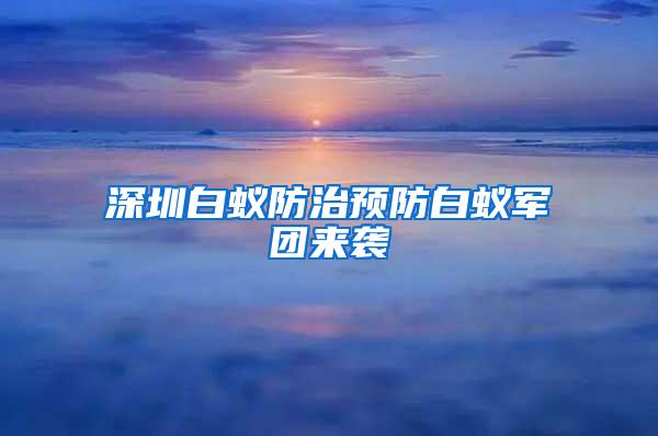 深圳白蟻防治預(yù)防白蟻軍團(tuán)來襲